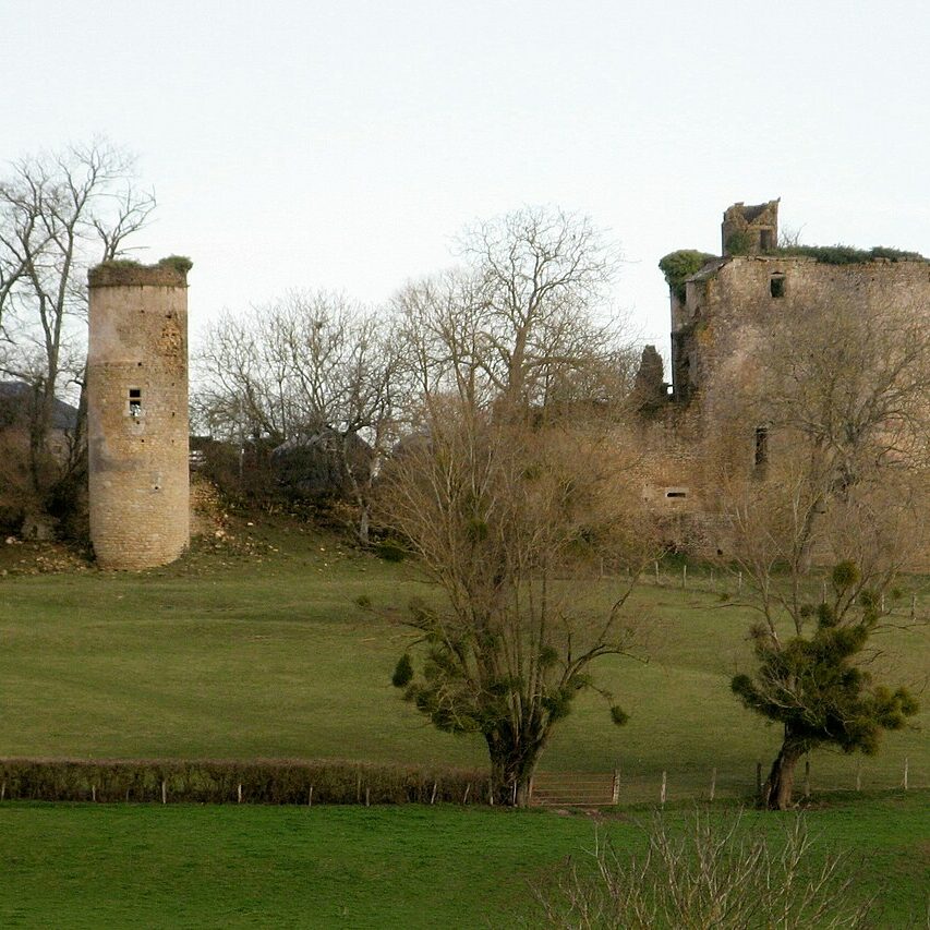 Frasnay-Reugny,_château_du_Ravier